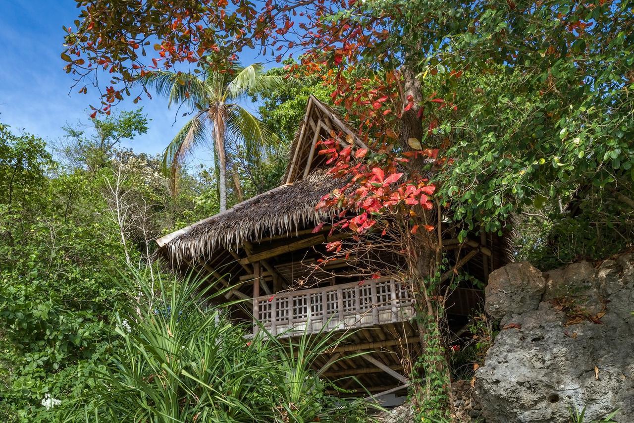 Kookoo's Nest Eco-lodge *